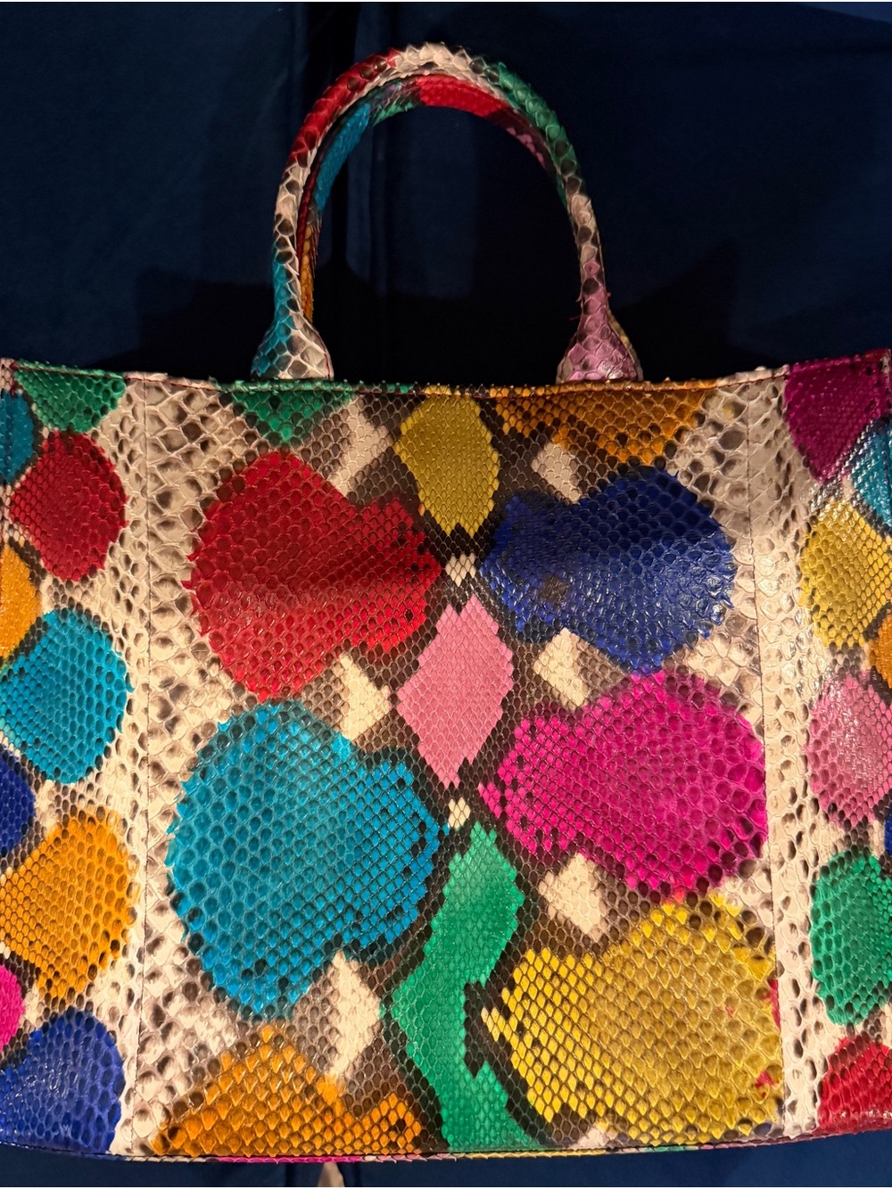 The Adele Handbag Python - Picture 3 of 5